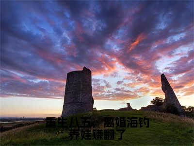 重生八五，离婚海钓养娃赚翻了（叶峰韩小蕊）最火小说全文-（叶峰韩小蕊）重生八五，离婚海钓养娃赚翻了小说完整版免费阅读