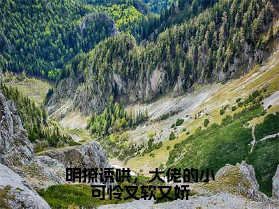 明撩诱哄，大佬的小可怜又软又娇（霍景川苏曼）全文免费阅读无弹窗大结局_（霍景川苏曼）明撩诱哄，大佬的小可怜又软又娇最新章节列表_笔趣阁