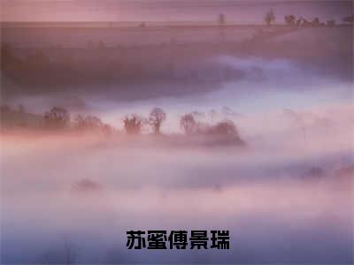 苏蜜傅景瑞小说全文免费阅读_（傅景瑞苏蜜）苏蜜傅景瑞最新章节列表笔趣阁