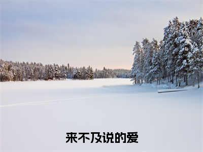 来不及说的爱（裴茹雪杨信生全章节完整版）免费阅读_来不及说的爱（裴茹雪杨信生）最新章节列表笔趣阁