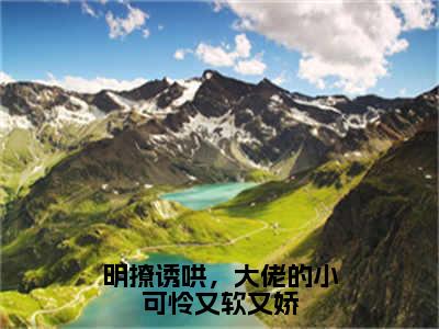 苏曼霍景川小说在线阅读（明撩诱哄，大佬的小可怜又软又娇）全文免费阅读无弹窗大结局