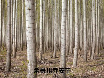 余景川乔安宁（余景川乔安宁全文免费阅读）_余景川乔安宁小说最新章节免费阅读