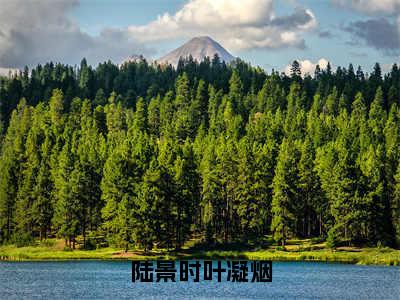 （热推新书）陆景时叶凝烟完整版免费小说无弹窗阅读_陆景时叶凝烟最新章节列表_笔趣阁（叶凝烟陆景时）