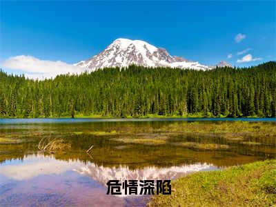 危情深陷（夏浅陆津城）小说免费下载全本-危情深陷（夏浅陆津城完整版）免费阅读