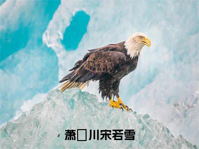 萧璟川宋若雪（宋若雪萧璟川）小说全文免费读无弹窗大结局_萧璟川宋若雪小说章节试读最新章节列表笔趣阁