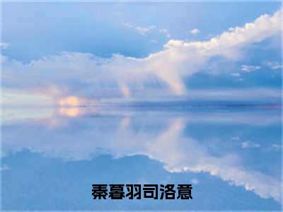 司洛意秦暮羽（秦暮羽司洛意）全文免费司洛意秦暮羽读无弹窗大结局_秦暮羽司洛意免费司洛意秦暮羽读全文最新章节列表_笔趣阁