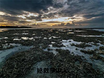 拯救梦中人（鲍雨峰庞小雨）全文免费阅读无弹窗大结局_鲍雨峰庞小雨最新章节列表