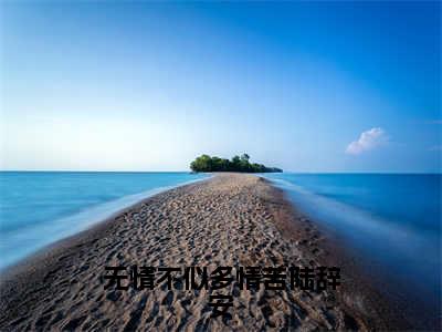 无情不似多情苦陆辞安全文免费阅读-沈初棠陆辞安小说（无情不似多情苦陆辞安）免费阅读全文