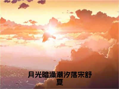 小说沈时砚宋舒夏全文免费阅读无弹窗大结局_月光暗涌潮汐落宋舒夏完整阅读