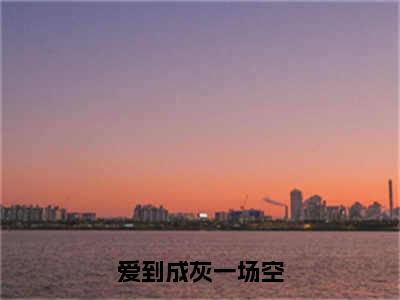 顾淮苏菁菁小说（爱到成灰一场空）全文免费阅读无弹窗大结局_（顾淮苏菁菁）小说章节列表（爱到成灰一场空）