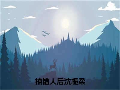 撩错人后沈栀柔全文免费阅读周嘉屿沈栀柔章节免费阅读