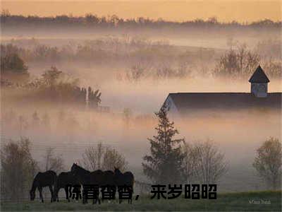 陈春杳杳，来岁昭昭已完结小说全集阅读（苍玄琉璃完整版大结局）陈春杳杳，来岁昭昭小说全文阅读笔趣阁