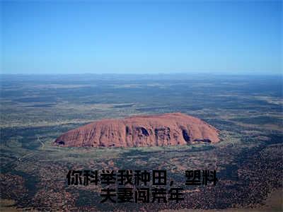 你科举我种田，塑料夫妻闯荒年小说最新章节（宋砚江清月）全文免费阅读无弹窗大结局_宋砚江清月免费阅读（你科举我种田，塑料夫妻闯荒年小说）