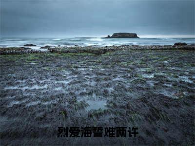 烈爱海誓难两许（陆沐瑾沈晏池全文在线阅读）-烈爱海誓难两许免费阅读