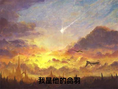 我是他的命羽（曲云荷陆青尘）全文免费阅读无弹窗大结局_曲云荷陆青尘免费最新章节列表_笔趣阁