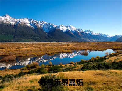 苏景禾黎嘉烁（苏景禾黎嘉烁）小说免费阅读无弹窗大结局_（苏景禾黎嘉烁阅读无弹窗）最新章节列表