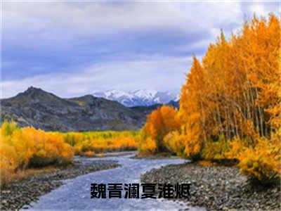 夏淮烬魏青澜魏青澜夏淮烬免费小说-魏青澜夏淮烬（夏淮烬魏青澜）已更新最新章节