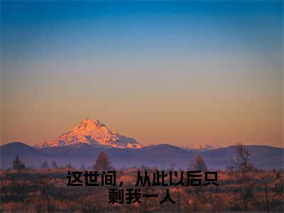 沈知星段渠全文免费在线阅读_（这世间，从此以后只剩我一人全文免费阅读无弹窗大结局）