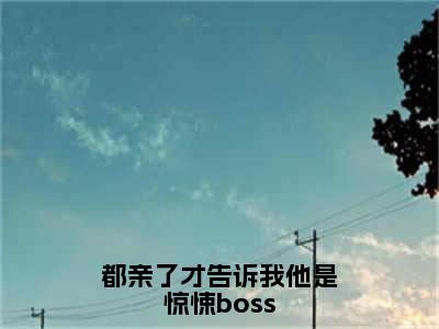 都亲了才告诉我他是惊悚boss小说（宋雪媱林辰安）全文免费阅读无弹窗大结局_都亲了才告诉我他是惊悚boss完整版最新阅读_笔趣阁（宋雪媱林辰安）