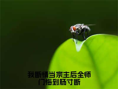 我断情当宗主后全师门悔到肠寸断（冷玄清）在线阅读-我断情当宗主后全师门悔到肠寸断小说冷玄清完整版免费阅读