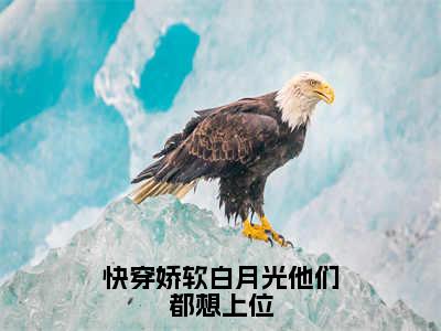 快穿娇软白月光他们都想上位（苏妧）热门小说盘点在线阅读-全网推荐小说苏妧全文