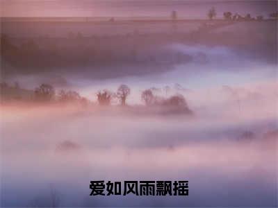 宋夏沈时堰小说爱如风雨飘摇完整版大结局-宋夏沈时堰小说完结版在线阅读