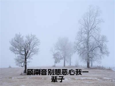 无广告小说顾南音别想恶心我一辈子全文免费阅读无弹窗大结局-顾南音薄景夜川在线阅读