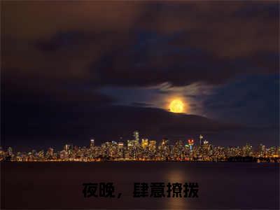 夜晚，肆意撩拨林清晚秦夜小说全文免费阅读无弹窗大结局_夜晚，肆意撩拨（林清晚秦夜）最新章节列表笔趣阁