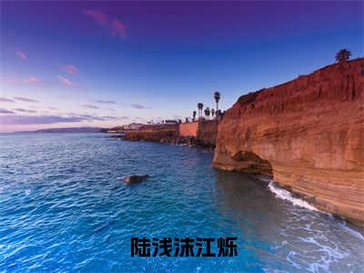 新书热荐陆浅沫江烁全文免费阅读无弹窗大结局-小说陆浅沫江烁全文完整版免费阅读