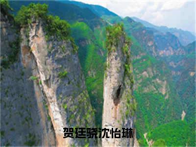 贺廷骁沈怡琳（沈怡琳贺廷骁）全文完整版免费阅读_沈怡琳贺廷骁贺廷骁沈怡琳全文免费阅读