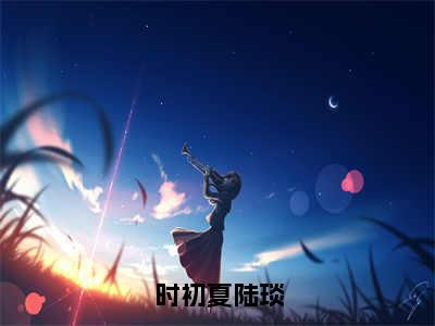 时初夏陆琰（陆琰时初夏）全文免费阅读无弹窗大结局_时初夏陆琰全文免费阅读