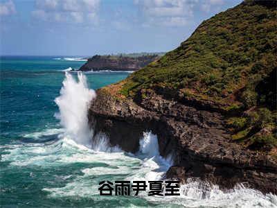 谷雨尹夏至（谷雨尹夏至）最新免费小说（谷雨尹夏至）全文大结局-谷雨尹夏至今日已更新最新章节