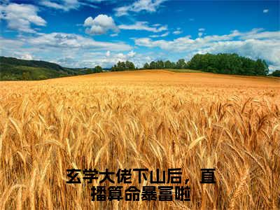 秦钰（玄学大佬下山后，直播算命暴富啦）全文免费阅读无弹窗大结局_秦钰最新章节列表_笔趣阁