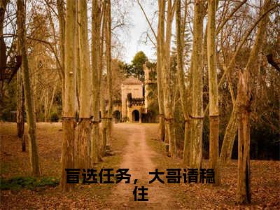 盲选任务，大哥请稳住小说（叶萧然方煜）全文免费阅读结局-盲选任务，大哥请稳住强推全文阅读无弹窗