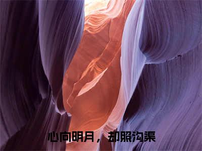 心向明月，却照沟渠免费小说安然周奕全文完整版阅读