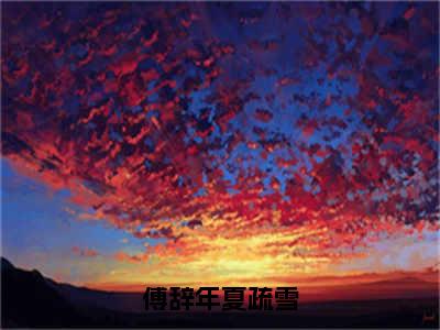 （傅辞年夏疏雪）全文免费阅读无弹窗（傅辞年夏疏雪）傅辞年夏疏雪已完结全集大结局