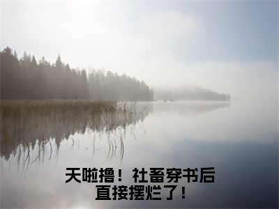 司念肖倾宇小说免费下载阅读_（天啦撸！社畜穿书后直接摆烂了！）司念肖倾宇最新章节列表_笔趣阁（天啦撸！社畜穿书后直接摆烂了！）