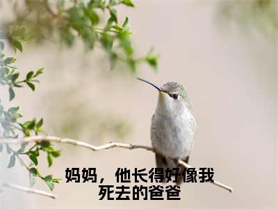 江淮桉温晚月小说（妈妈，他长得好像我死去的爸爸）全文免费阅读无弹窗大结局_江淮桉温晚月小说最新章节列表