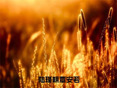 覃安若陆瑾朝（陆瑾朝覃安若小说）全文免费阅读无弹窗大结局_陆瑾朝覃安若小说免费阅读最新章节列表_笔趣阁（覃安若陆瑾朝小说）