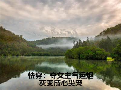 快穿：夺女主气运炮灰变成心尖宠（时景辰林玖儿）全文免费阅读-（时景辰林玖儿无弹窗阅读）最新章节小说免费阅读