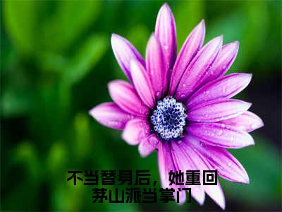 不当替身后，她重回茅山派当掌门小说（宋芊雪）全文免费阅读无弹窗大结局_宋芊雪小说最新章节列表