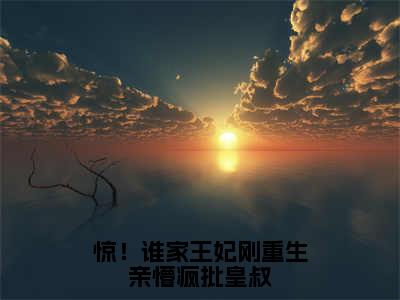 （惊！谁家王妃刚重生亲懵疯批皇叔抖音小说）凌风烬安云汐小说全文阅读免费