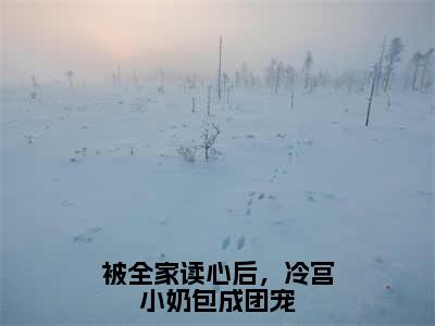 被全家读心后，冷宫小奶包成团宠全文免费阅读无弹窗大结局_萧若依最新章节列表笔趣阁