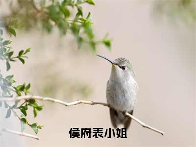 孟朝言（侯府表小姐）全文免费阅读无弹窗_孟朝言最新小说_笔趣阁