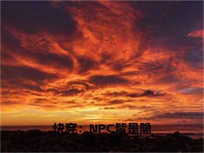 苏已全文免费免费阅读无弹窗最新章节列表_笔趣阁（快穿：NPC皆是隐藏大佬全文免费）