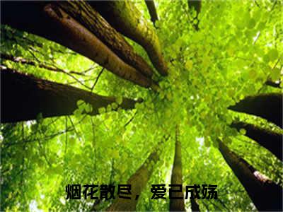 烟花散尽，爱已成殇小说主角是（楚聿风）全文完整版免费阅读最新章节列表_楚聿风小说在线阅读