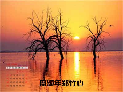 周颂年郑竹心全文免费阅读-（郑竹心周颂年）小说全文免费阅读正版无弹窗