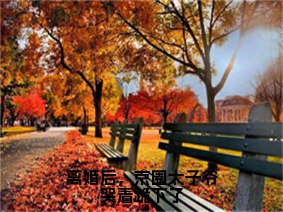 主角是权时言千云漓的小说全文免费阅读无弹窗大结局-《离婚后，京圈太子爷哭着跪下了》完整章节阅读