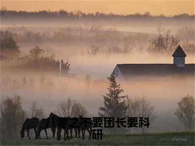 戴苗小说在线阅读八零之不要团长要科研无广告小说免费在线阅读