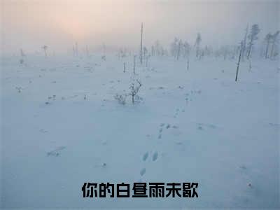 你的白昼雨未歇全文（霍砚行应拭雪小说）全文免费阅读无弹窗大结局_你的白昼雨未歇免费最新章节列表_笔趣阁（霍砚行应拭雪小说）